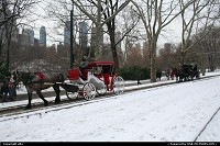 Photo by elki | New York  Central park new york